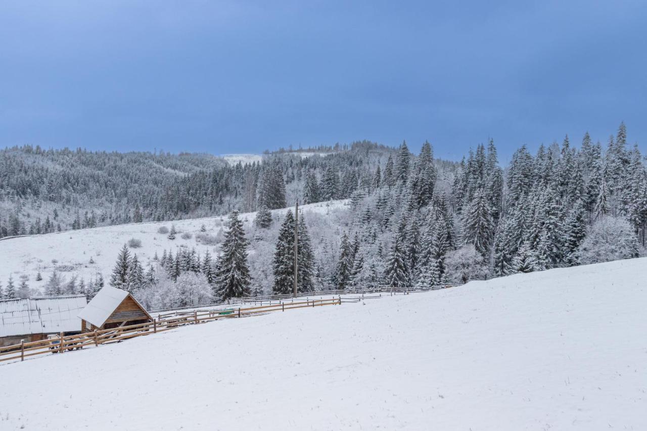 Шепіт Лісу Hotel Boekovel Buitenkant foto